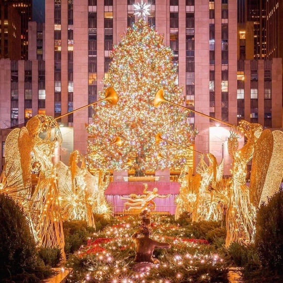 Meet your Posher, Lisa - Picture 4 of 11